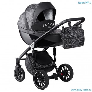 ANEX Детская коляска 2 в 1 SPORT JACOB